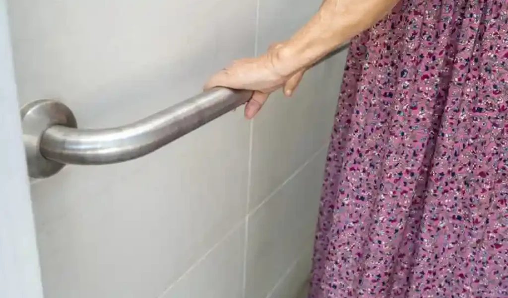 stablegrip safety bars